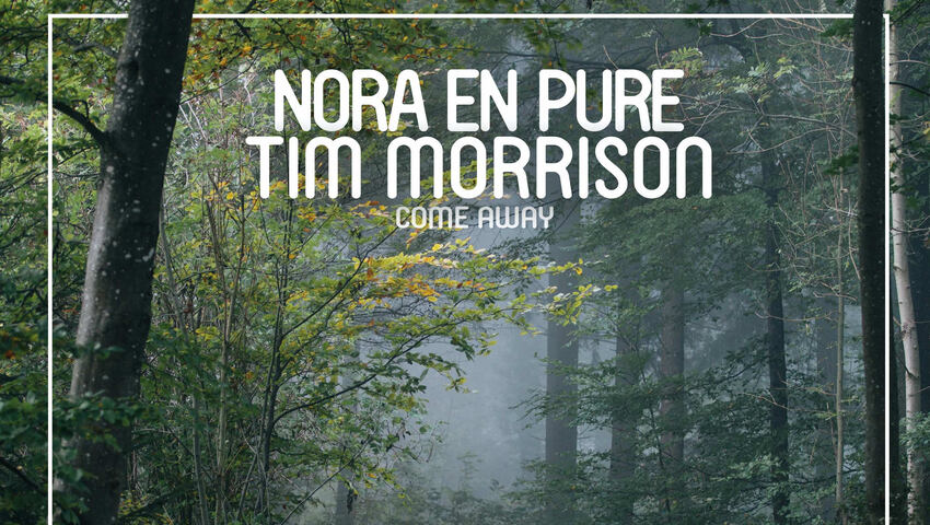 Nora En Pure feat. Tim Morrison - Come Away