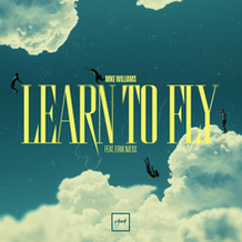 Learn To Fly