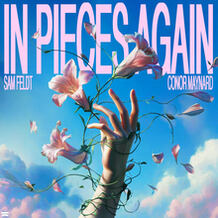 In Pieces Again