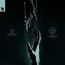 You Gonna Want Me (I Know)