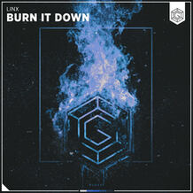 Burn It Down
