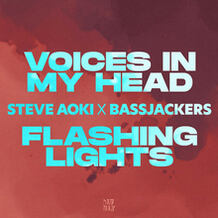 Voices In My Head