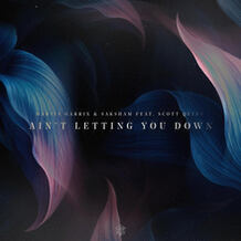 Ain't Letting You Down