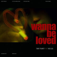 Wanna Be Loved