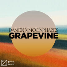 Grapevine