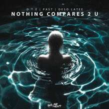 Nothing Compares 2 U