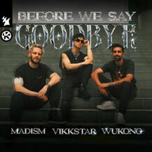Before We Say Goodbye