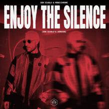 Enjoy The Silence