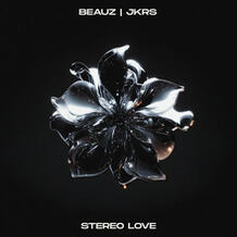 Stereo Love
