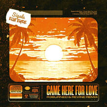 Came Here For Love