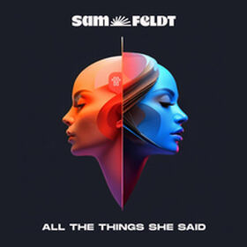 All The Things She Said