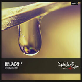 Raindrop
