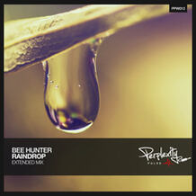 Raindrop