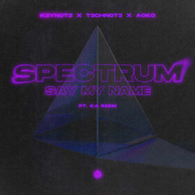 Spectrum (Say My Name)