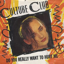 Do You Really Want To Hurt Me