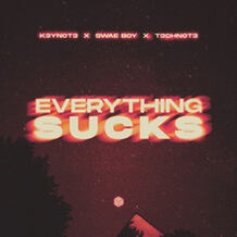 Everything Sucks