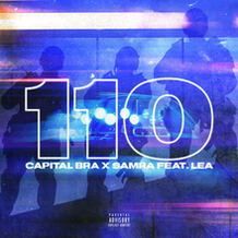 110