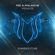Visualize