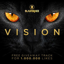 Vision