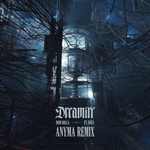 Dreamin (Anyma Remix)