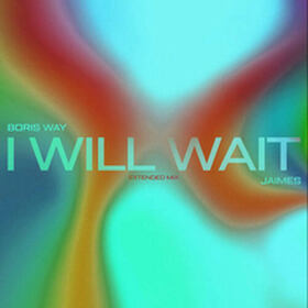 I Will Wait
