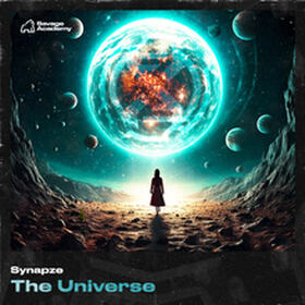 The Universe
