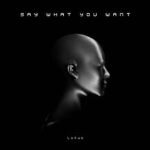 Say What You Want
