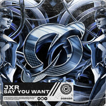 Say You Want