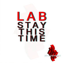 Stay This Time