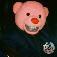 Alle Risse Heilen (Remix)