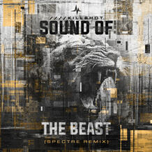 Sound Of The Beast (Spectre Remix)