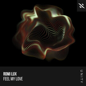 Feel My Love