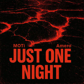 Just One Night