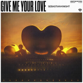 Give Me Your Love