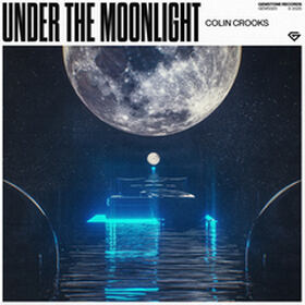 Under The Moonlight