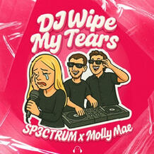 DJ Wipe My Tears