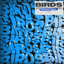 Birds (VolTrack Remix)