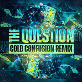 The Question (Cold Confusion Remix)