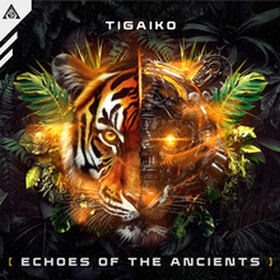 Echoes Of The Ancients