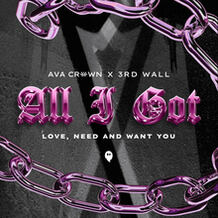 All I Got (Love, Need And Want You)