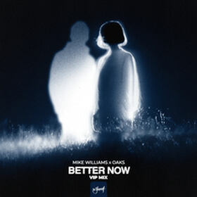 Better Now (VIP Mix)