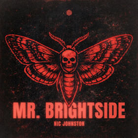 Mr. Brightside