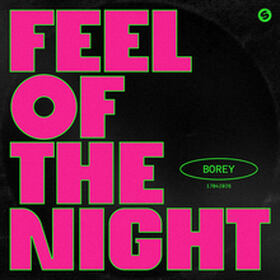 Feel Of The Night