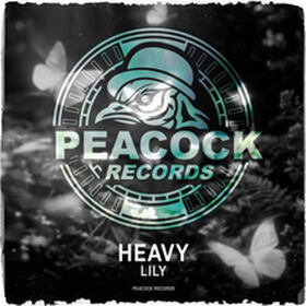 Heavy