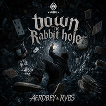 Down The Rabbit Hole
