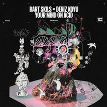 Your Mind On Acid