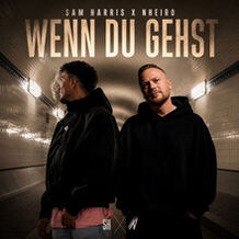 Wenn Du Gehst