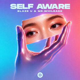 Self Aware