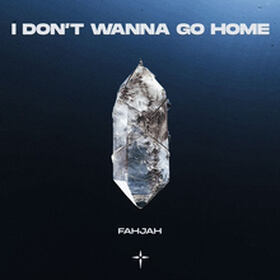 I Don't Wanna Go Home