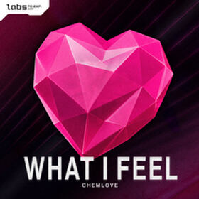 What I Feel
